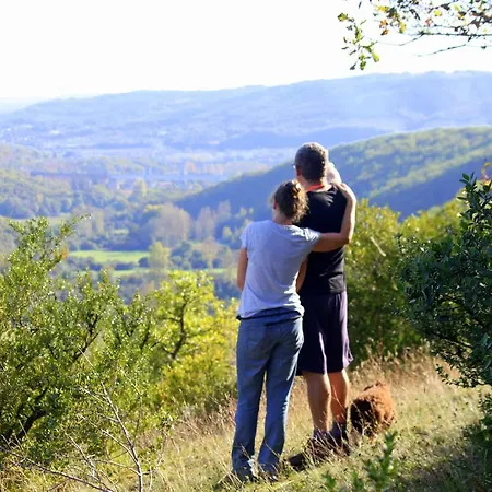庄园酒店 苏亚克